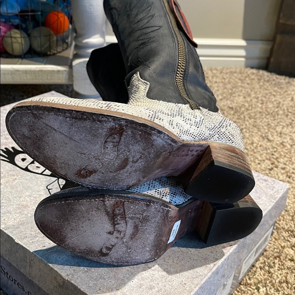 Freebird By Steven Whisper Tall Boots  In Black Snake - Picture 9 of 16